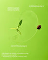 Yepoda.pl