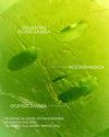 Yepoda.pl